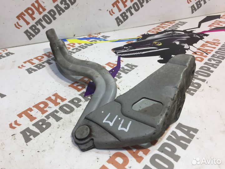 Хендай Солярис Петля капота Прав