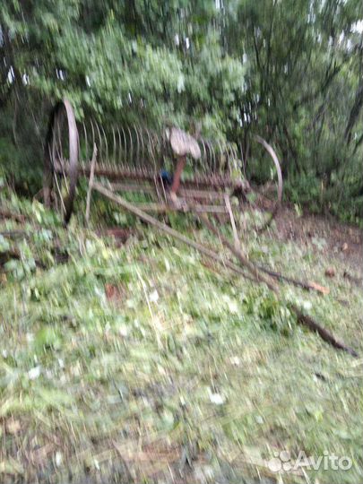 Конные грабли