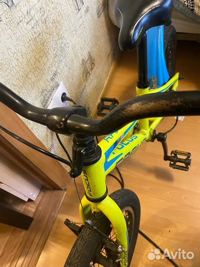 Велосипед детский 16 Focus Raven Rookie