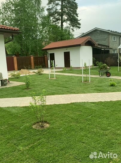 Рулонный газон