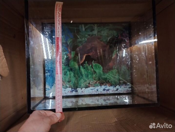 Аквариум