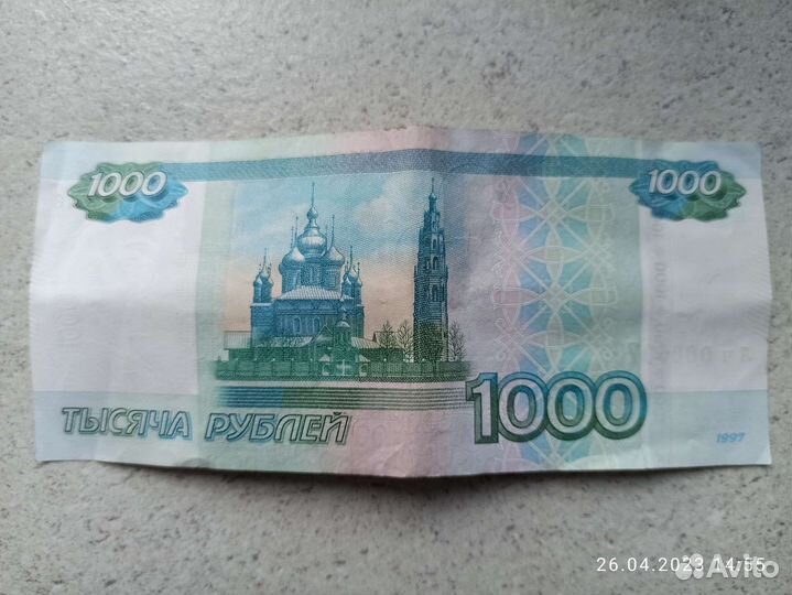 Чистокровный Ярославль