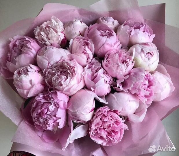 Пионы Цветы Букеты