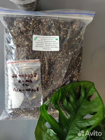 Универсальный грунт для декоративно-лиственных 2л