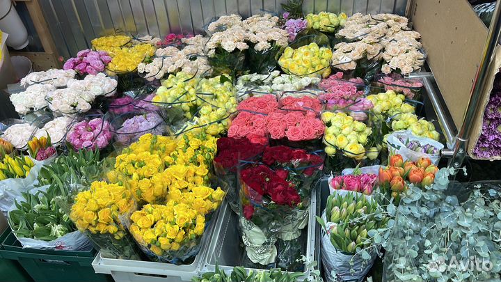 Кустовые розы, пионовидные розы, ранункулюсы