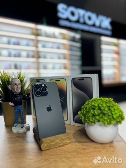 iPhone 15 Pro Max, 256 ГБ