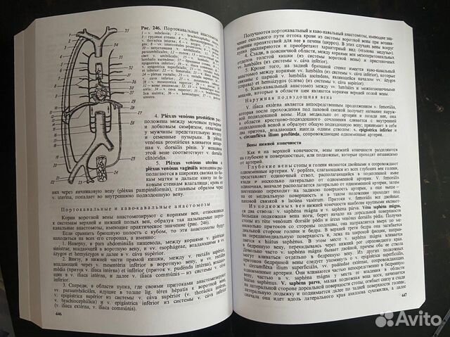 Учебник Анатомия человека Привес объявление продам