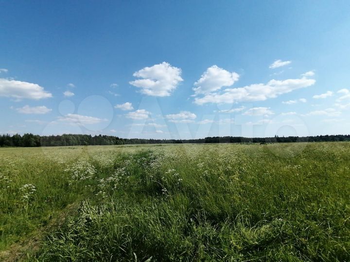 Участок 12 га (СНТ, ДНП)