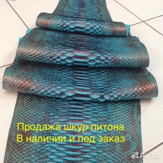 Шкура, кожа питона