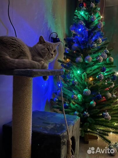 Елка искусственная бу