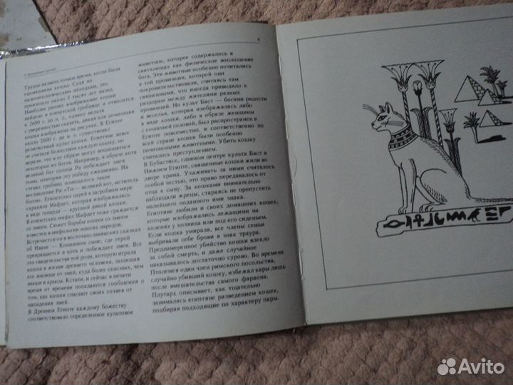 Мой ласковый и нежный зверь (1992).Кошки