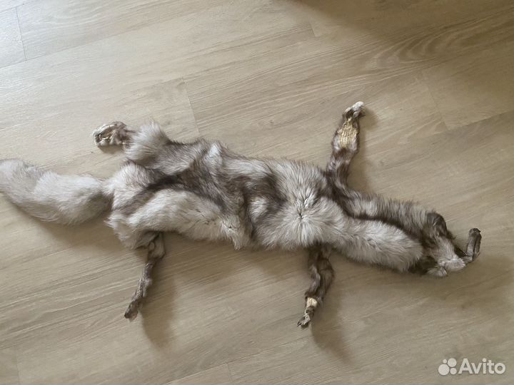 Шкурка песец