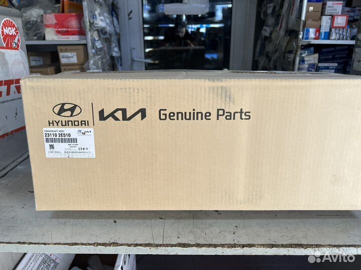 Коленвал 231102E510