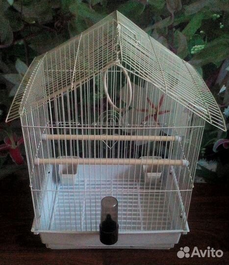 Клетка вс 47см