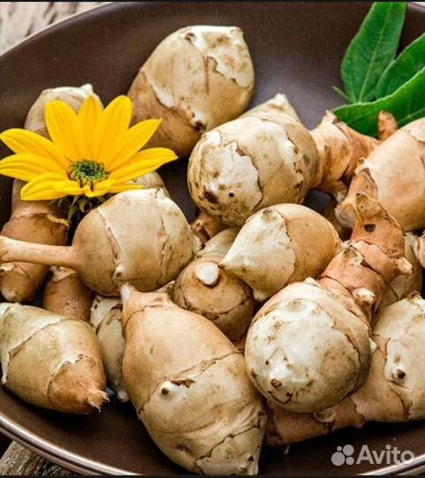 Топинамбур клубни