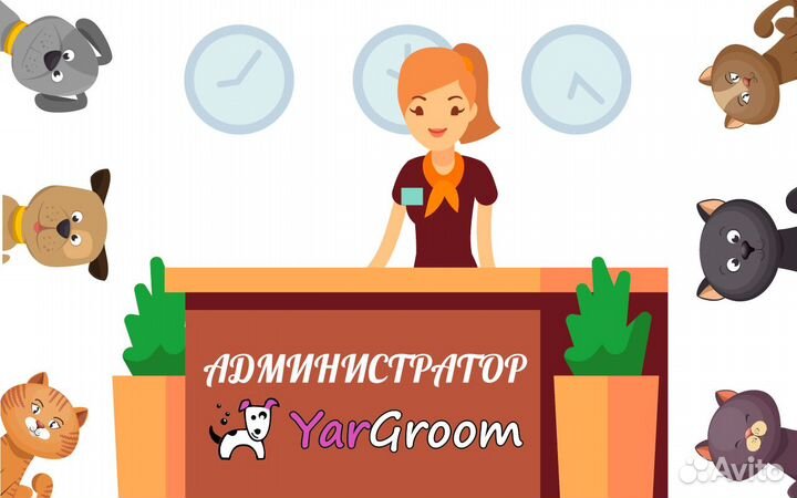 Администратор в Зоосалон
