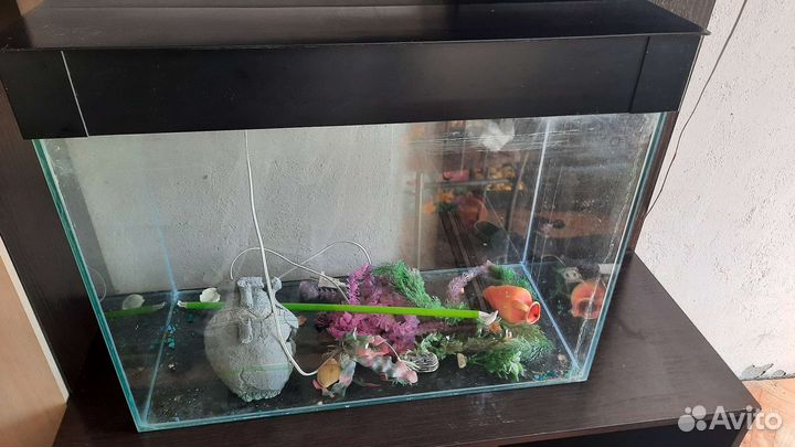Аквариум