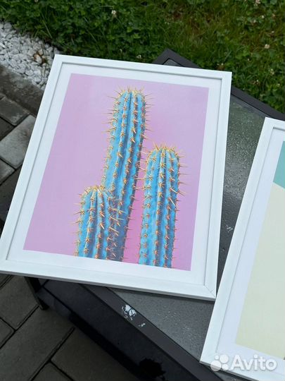 365 Постеры в рамках