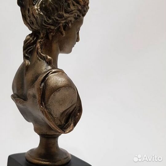 Бюст девушки
