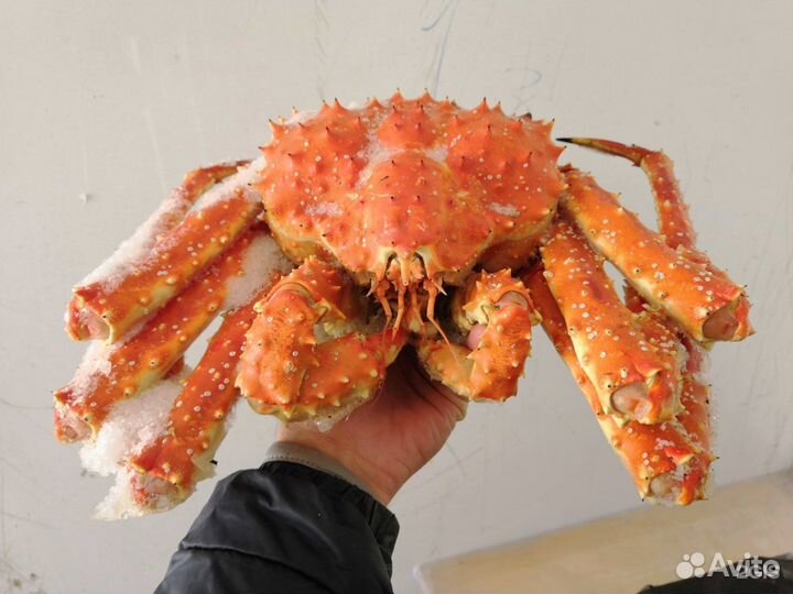 Сахалинские морепродукты в Тамбове