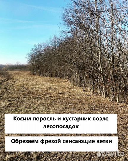 Расчистка участков от кустарников спецтехникой