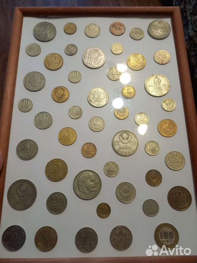 Деньги в рамке