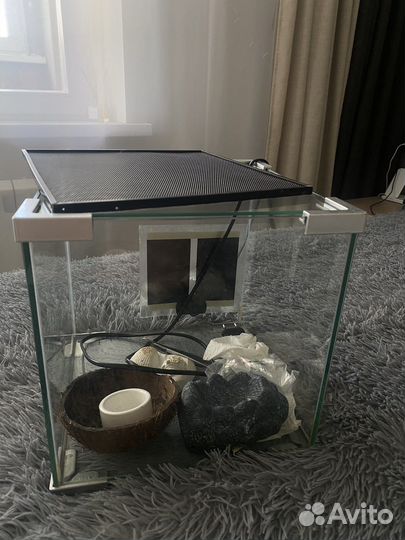 Террариум для рептилий бу