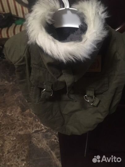 Одежда для собак мелких пород