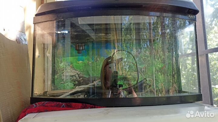 Аквариум