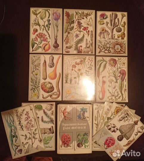 Набор открыток 