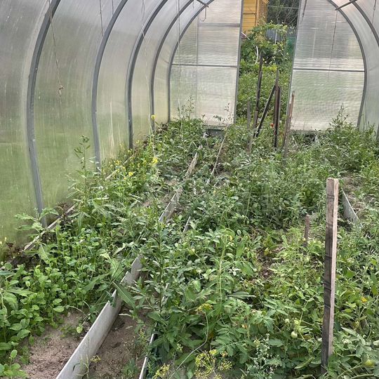 Дом 100 м² на участке 4,5 сот.