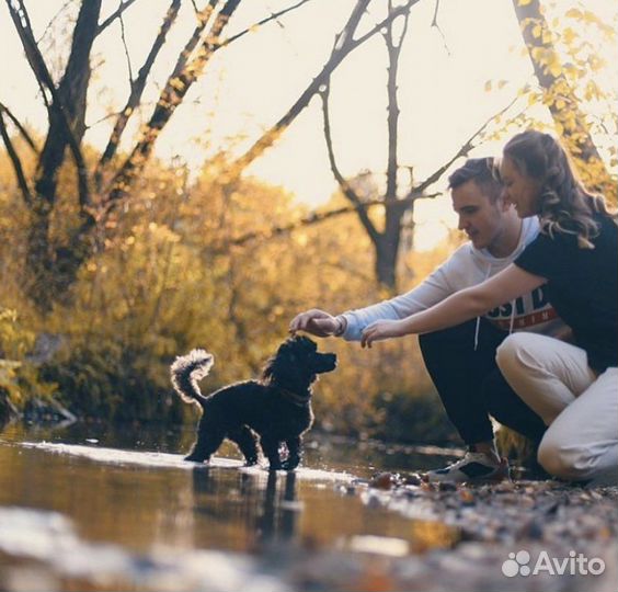 Видеограф / фотограф