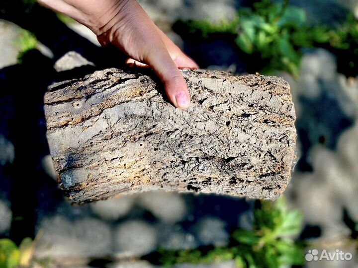 Дрова поленья чурбаки фруктовых деревьев