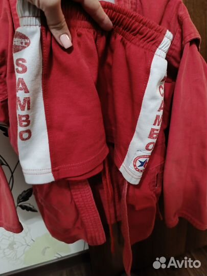 Самбовка красная 140