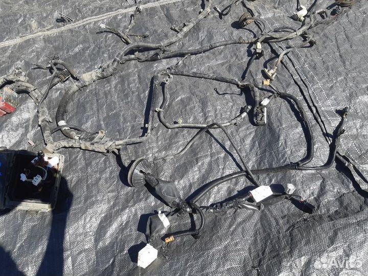 Проводка подкапотная Nissan X-Trail T31