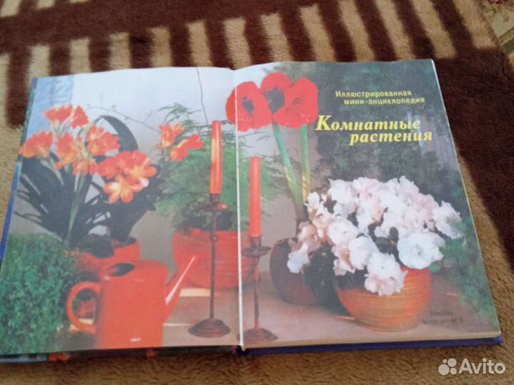 Книга Мини - энциклопедия Комнатные растения