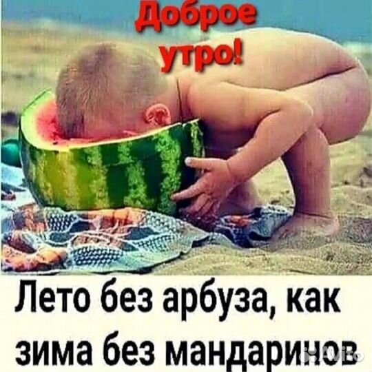 Домашняя птица