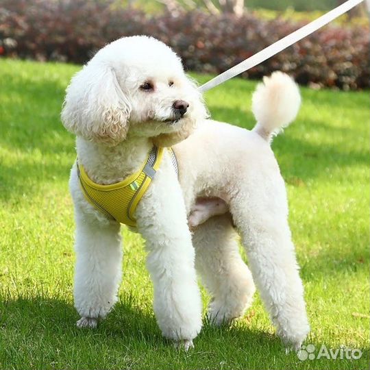 Шлейка новая