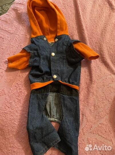 Вещи для собак