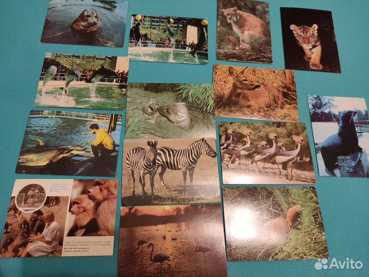 Открытки СССР. Немецкие открытки 80 г