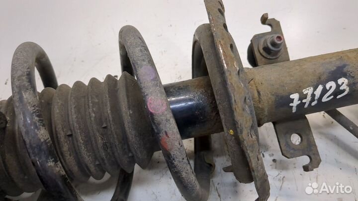 Амортизатор подвески Renault Kangoo, 2016