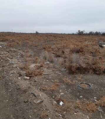 Участок 8 сот. (ИЖС)