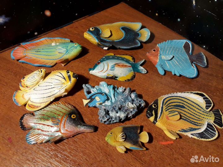 9 магнитов в форме рыбок