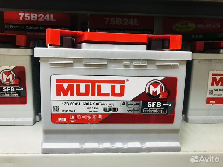 Аккумуляторы Mutlu