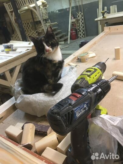 Столярные изделия по уникальному проекту