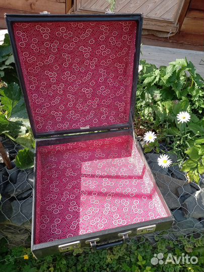 Баян россия