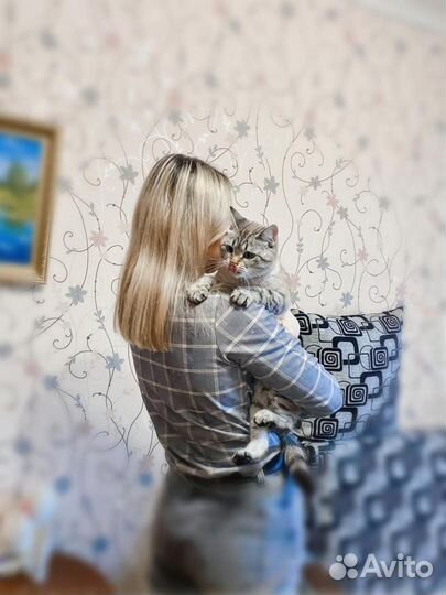 Женская кофта - блузка
