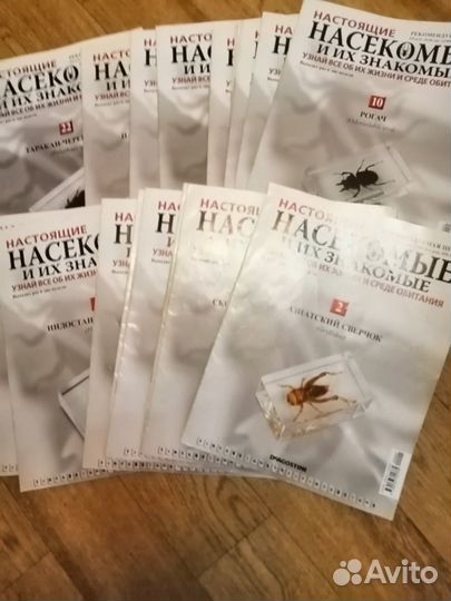 Коллекция насекомые и их знакомые