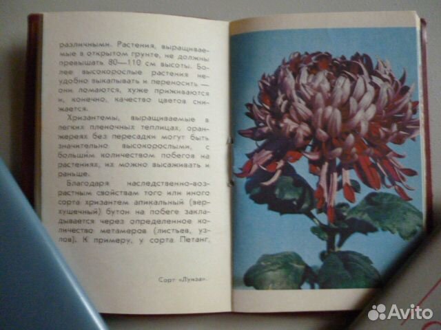 Календарик-книжка