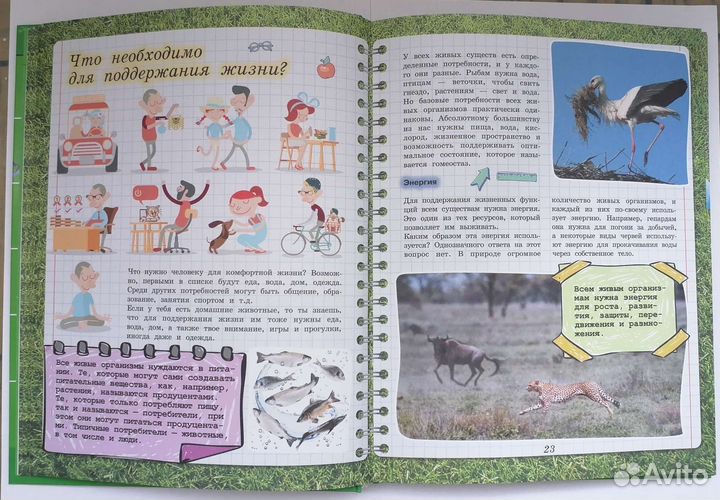 Энциклопедия по биологии для детей. Детская книга